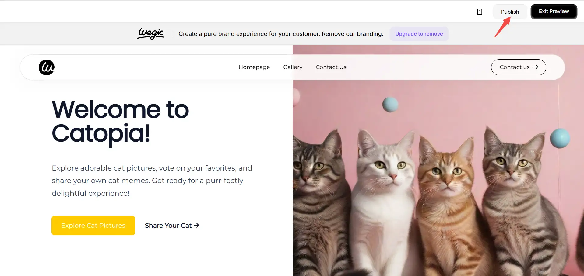 Publish the website Publish the website